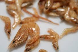 Sun Dried Baby Shrimp